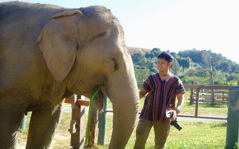 タイ チェンマイ 自然生物保全（ゾウ）