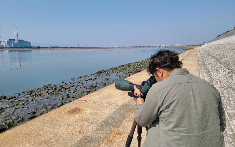 藤前干潟を守る会 自然生物保全（渡り鳥）
